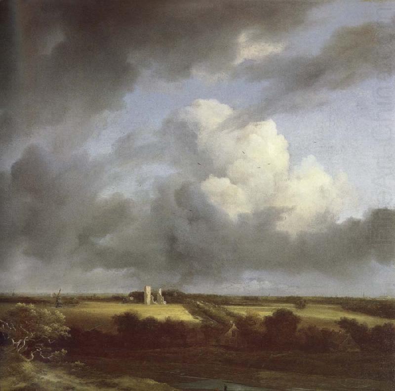 Jacob van Ruisdael View of the Ruins of Huis ter Kleef and Haarlem china oil painting image